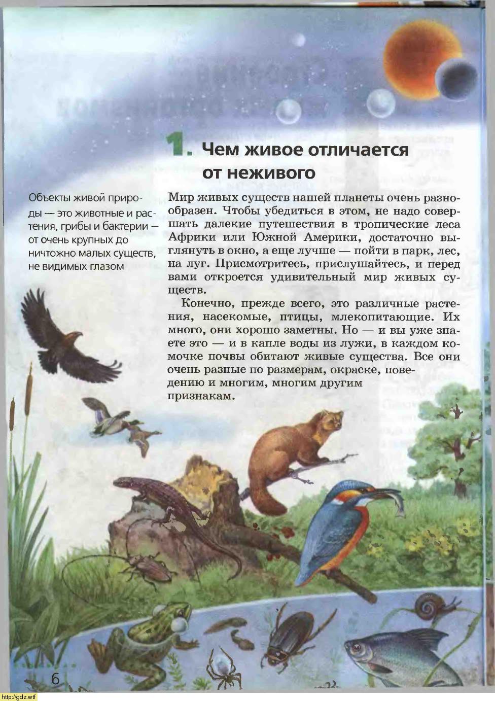 Биология за 6-ой класс - Н.И.Сонин. Биология 6-ой класс. Учебник. #4