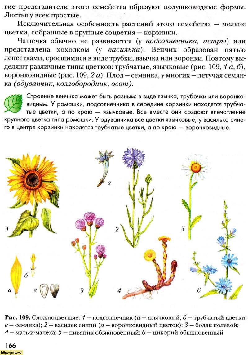 Биология за 6-ой класс - И.Н.Пономарева, О.А.Корнилова. Биология 6-ой ...