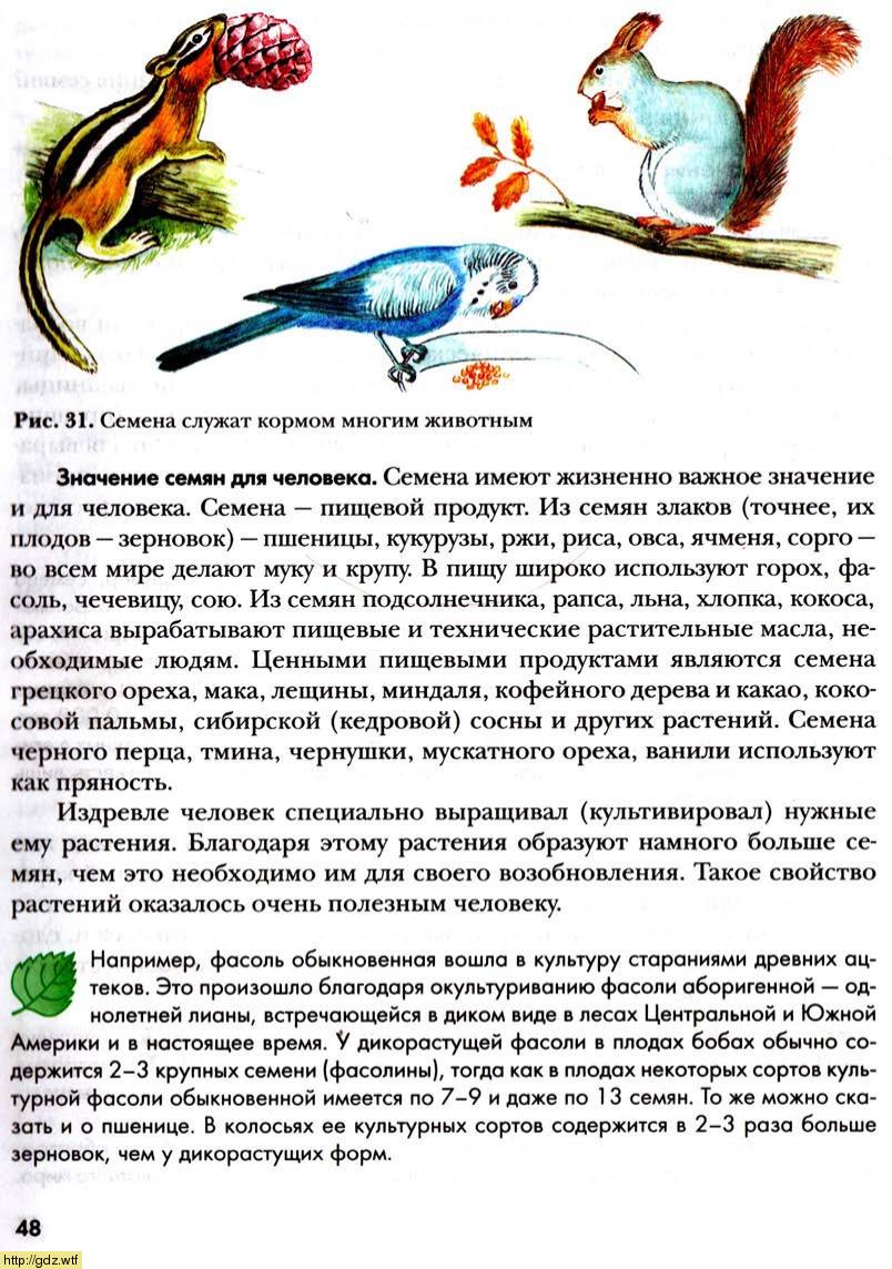 Биология за 6-ой класс - И.Н.Пономарева, О.А.Корнилова. Биология 6-ой ...