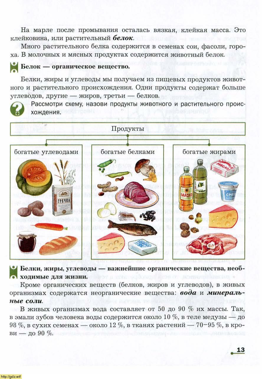 Какие продукты содержат жиры белки