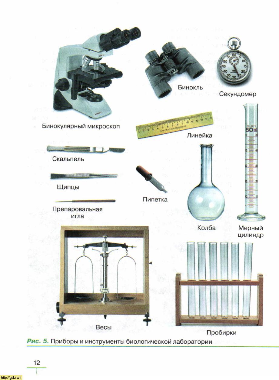 Приборы и инструменты биологической лаборатории 5