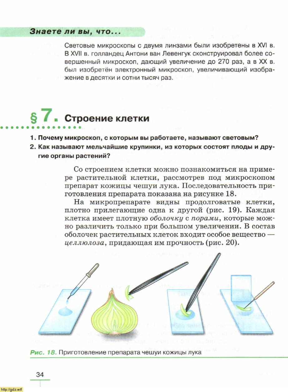 Биология за 5-ый класс - В. В. Пасечник. Биология. Бактерии, грибы ...