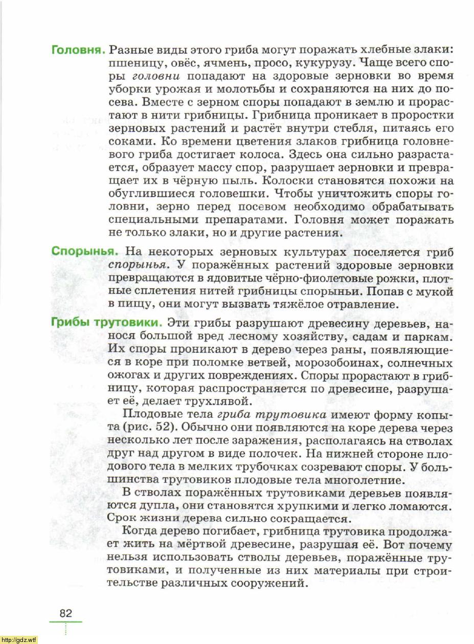 Биология за 5-ый класс - В. В. Пасечник. Биология. Бактерии, грибы ...