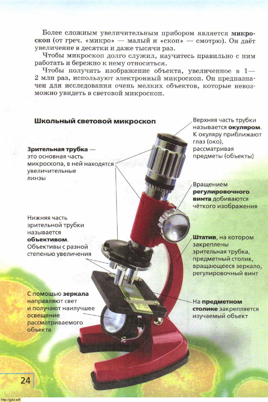 Строение микроскопа 5 класс